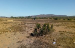 Localizaron restos humanos en un pozo de Punta Colonet