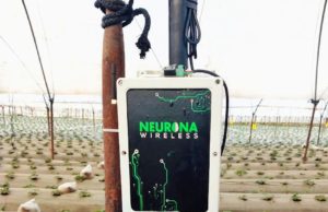 Jóvenes de Camalú desarrollaron software para monitorear cultivos agrícolas