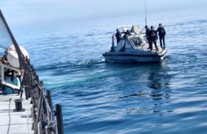 Extraen 13 redes totoaberas en la bahía de San Luis Gonzaga