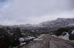 Temperaturas de hasta -5 grados en San Pedro Mártir y Sierra Juárez