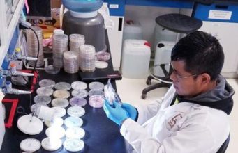 Destaca a nivel internacional una investigación de un estudiante sanquintinense de la UABC