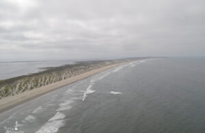 Declararán el parque estatal «La Lagunita» como área natural protegida