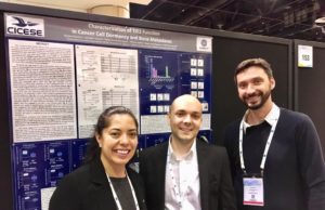 Publican artículo sobre el rol de la proteína TIE2 en la metástasis ósea