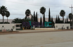 Trabajadores denuncian casos sospechosos de Covid-19 en el rancho Los Pinos