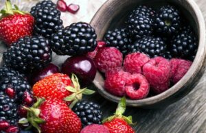 Agricultores de SQ lograron una producción de 217 mil 895 toneladas de berries
