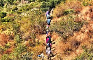 Ya permiten la realización del senderismo bajo protocolos aprobados