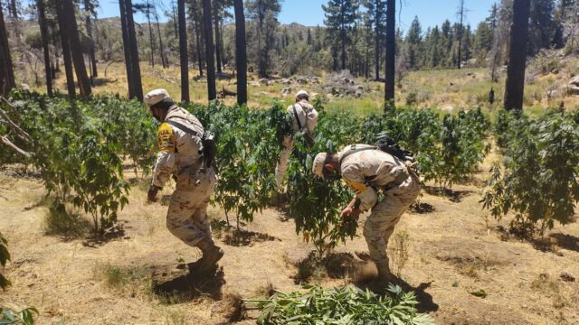 6820ce11-3254-4325-a892-d75244b3ef24