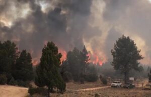 Incendio consume cientos de hectáreas en la Sierra de Juárez