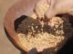 Desarrollan académicos de la UABC el proyecto documental “Biografías Alimentarias”