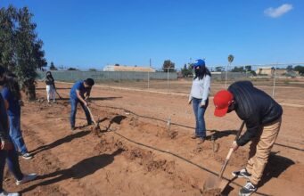 Estudiantes del CBTA 146 reforestaron a la Normal Gregorio Torres Quintero