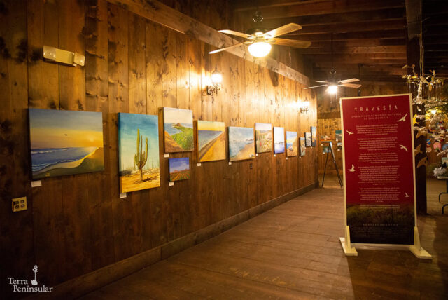 Muestra artística Travesía (1)