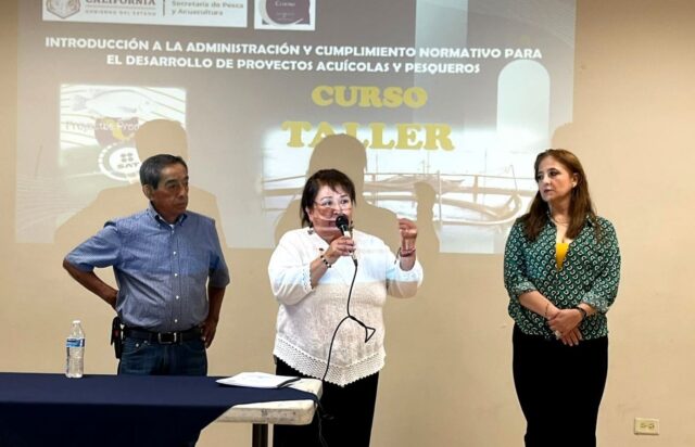 ff3ecf8a-cfc5-472b-926e-0e0a78e12a41