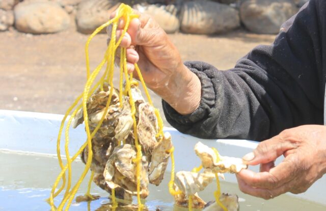 3173af1c-3dd7-4e45-9893-a81718eb04a2