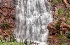 Exhorta Gobierno de Ensenada a no visitar la cascada en el Bosque de los Attenautas