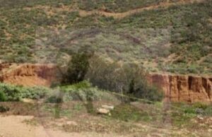 Localizan tres cráneos ocultos cerca de camino en San Quintín