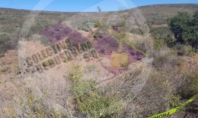 restos óseos Camalú col (1)