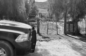 Investiga FGE muerte de cinco personas en casa incendiada de Francisco Zarco