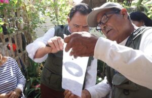 Recomienda Secretaría de Salud no bajar la guardia ante mosquito transmisor del dengue