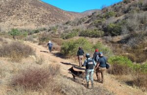 Localiza FGE restos óseos tras jornada de búsqueda en el ejido El Pípila