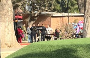 Drogan e intentan robar cartera a un adulto mayor en el parque Revolución, en Ensenada