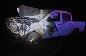 Choca conductor contra vaca en inmediaciones de Villa Jesús María, al sur de SQ