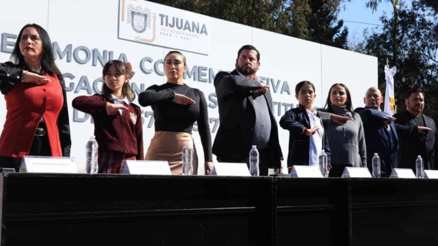 Burgueño constitución (1)