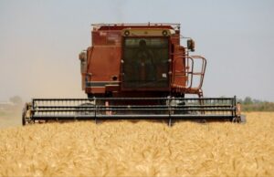 Avanza distribución de recursos del Programa de Apoyo al Rendimiento de Trigo Cristalino