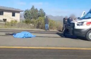 Muere hombre al ser atropellado en el Valle de Guadalupe