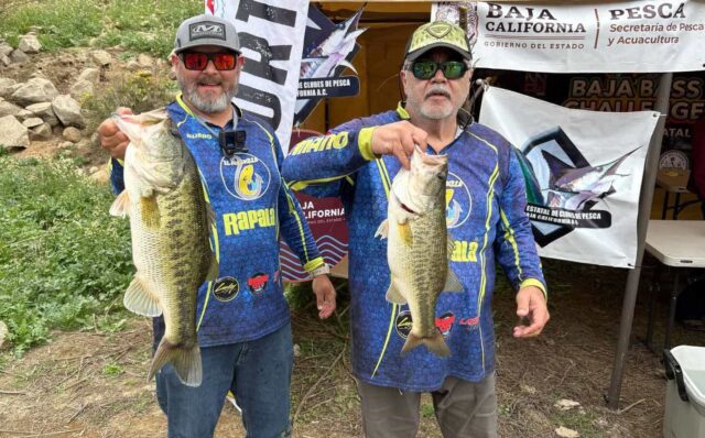 lobinas pesca tecate (1)