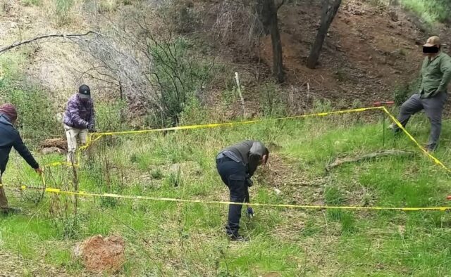 1914d887-b95f-4d53-9551-dd1604e4cf01 (1)