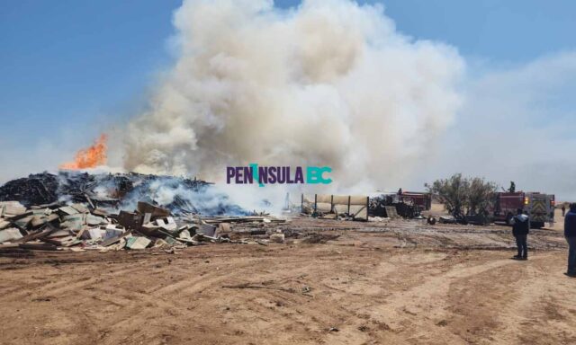incendio los pinos