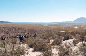 Invitan a visitar las Reservas Naturales de San Quintín durante Semana Santa