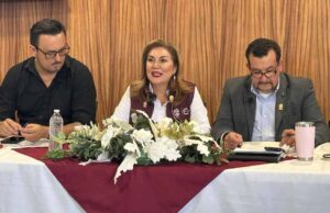 Evento de “carne asada” es un “acarreo simpático promovido por la oposición”: Miriam Cano