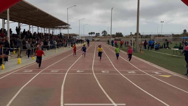 mini olimpiada preescolar