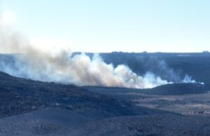 Consume incendio forestal más de 16 mil hectáreas en Tecate