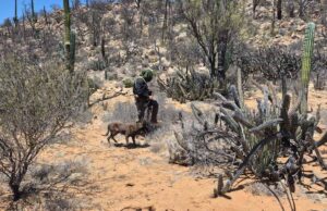 Hemos fallado en la prevención: Miriam Cano, tras multihomicidio en el sur de San Quintín