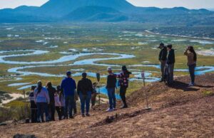 Propone Tere Ruiz actualizar lista de guías turísticos acreditados en Baja California