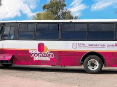 Habilitan seis rutas para el transporte Comunder en San Quintín