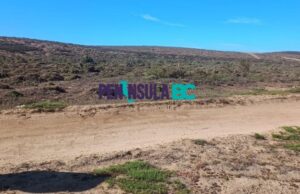 Localizan cuerpo baleado cerca de playa en San Quintín