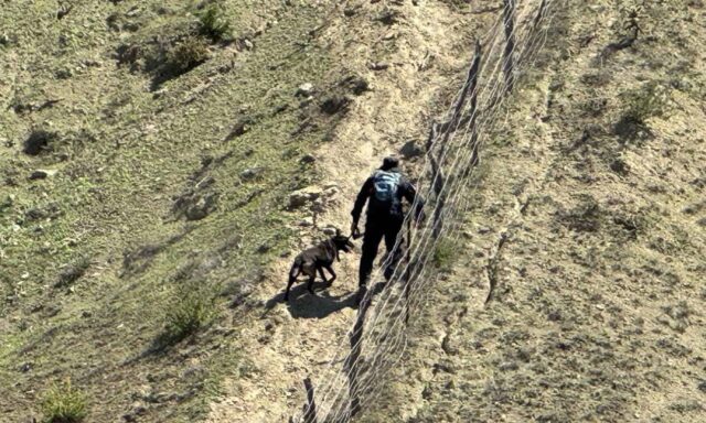 búsqueda can municipal El Rosario (1)