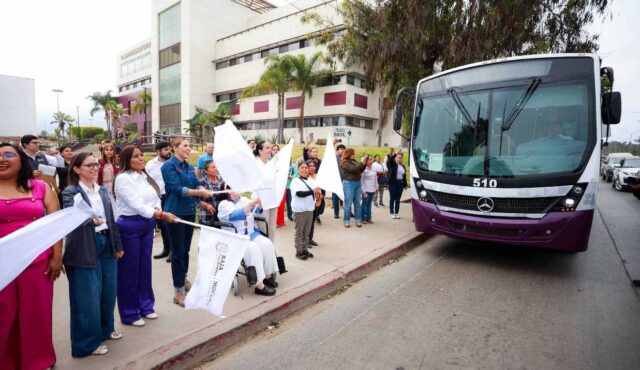transporte violeta maneadero (1)