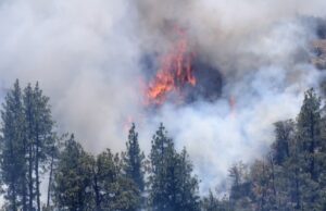 Continúan incendios forestales en la Sierra de San Pedro Mártir