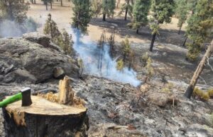 Incendios consumen más de mil hectáreas en la Sierra de San Pedro Mártir