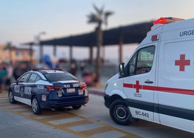 WhatsApp Image 2025-08-04 at 1.50.49 PM