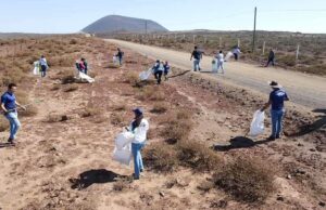 Acuden voluntarios a jornada de limpieza en el ejido Chapala y la bahía de San Quintín