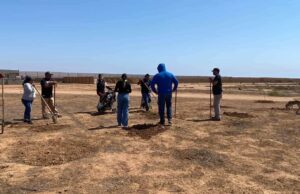 Reforestan área destinada para parque en Camalú