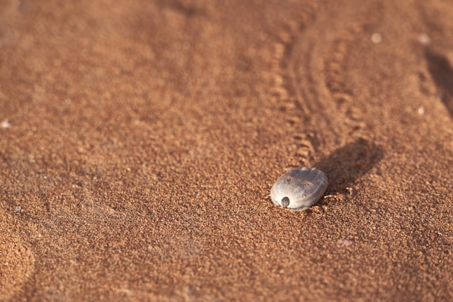 wolfgang-hasselmann-tDYGV3DSKLM-unsplash