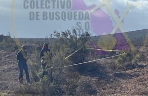 Localizan restos óseos en inmediaciones del ejido Jaramillo en San Quintín