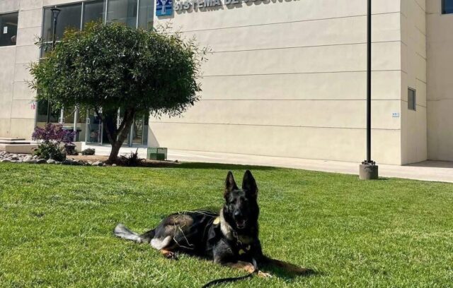 WhatsApp Image 2025-11-25 at 12.38.18 PM (2)