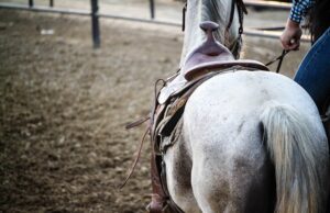 Conmemorarán el 251 aniversario de El Rosario, el pueblo más antiguo de Baja California